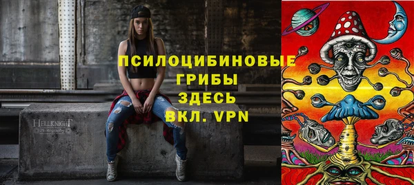 кокаин Белокуриха