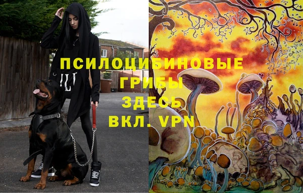 ешки Беломорск