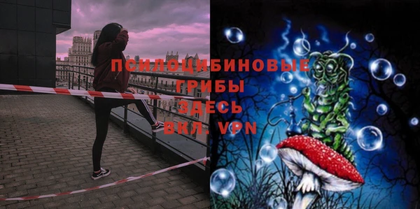кокаин Белокуриха
